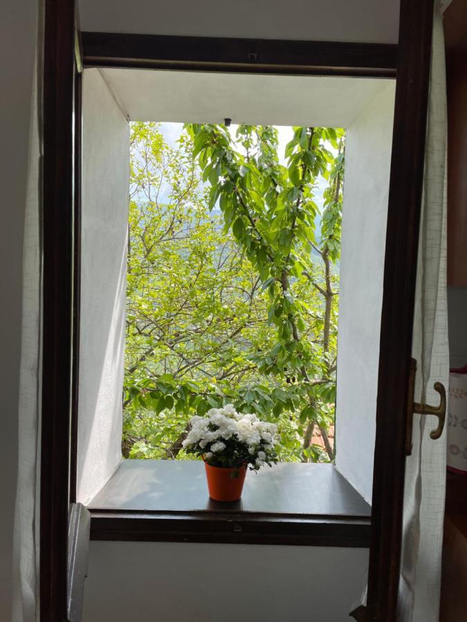Casa Di Nonno Meme Citra 008035-Lt-0018 Lägenhet Andagna Exteriör bild
